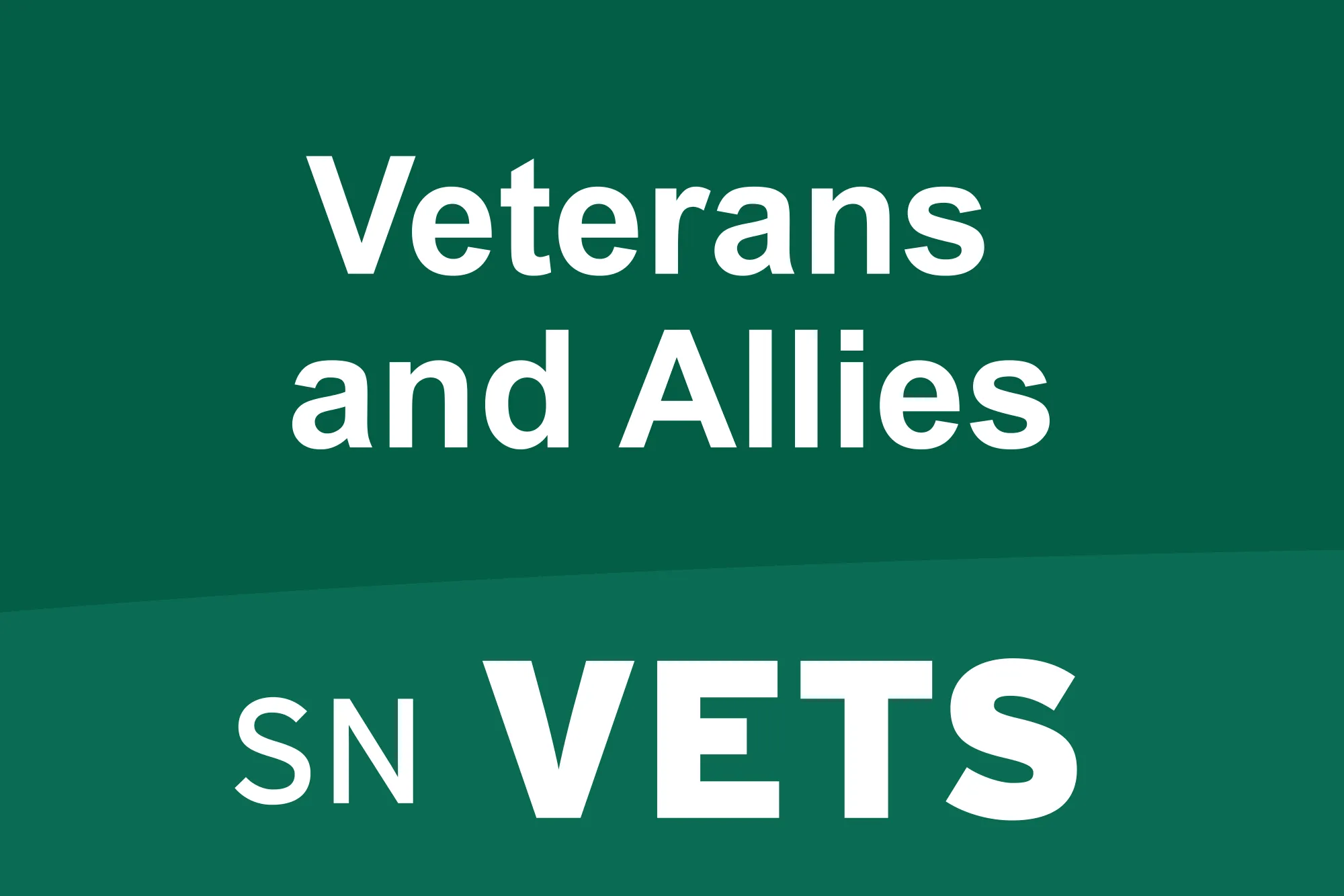 Associate Resource Groups (ARGs) | SN VETS (Veterans and Allies)